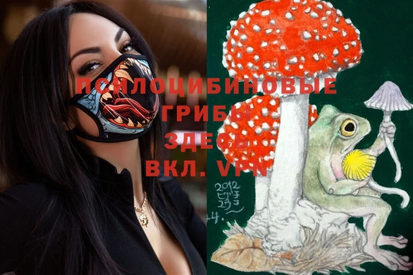 круглые Тобольск