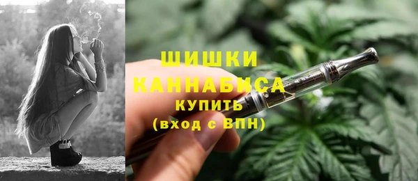 винт Болотное