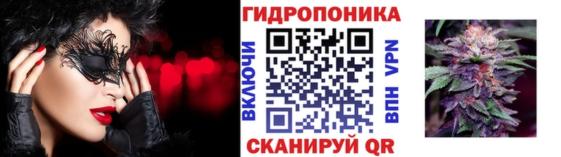 Бошки марихуана Bruce Banner Чернушка